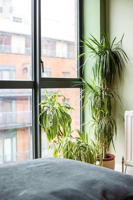 Spacious Belfast City Centre Duplex Apartment Eksteriør billede